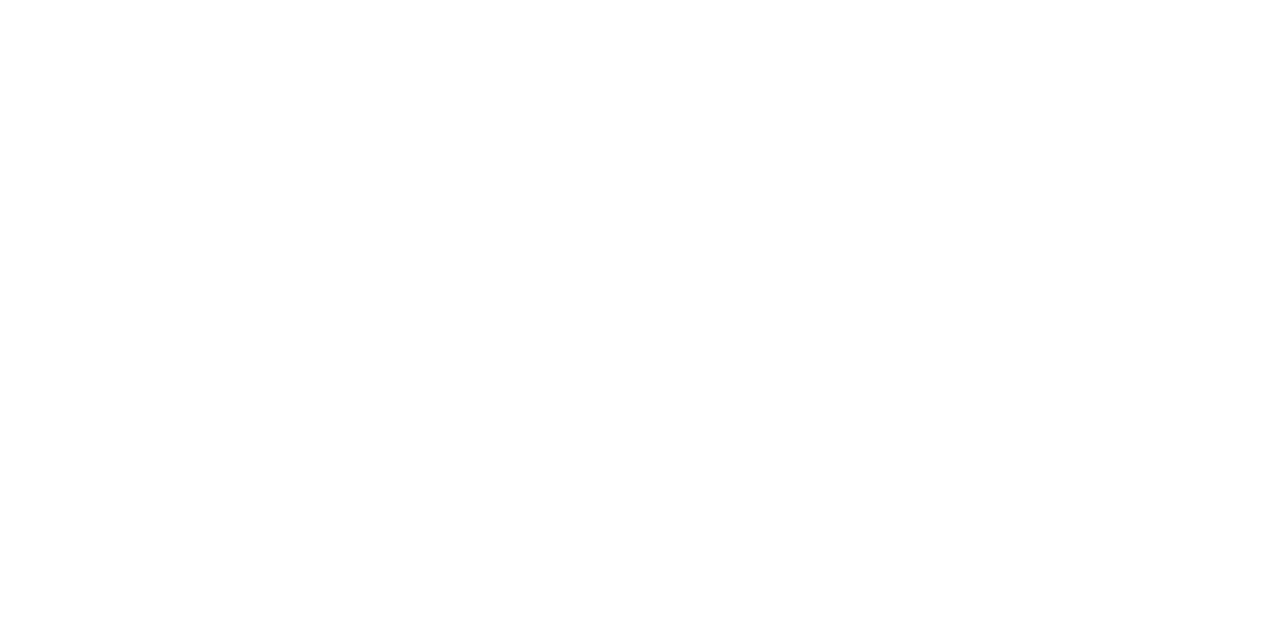 DS_LOGO_2_WHITE